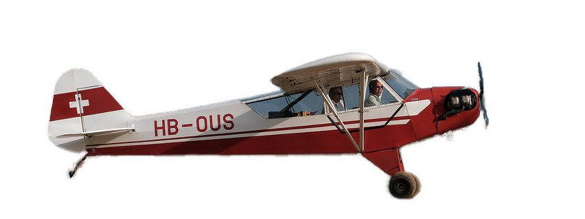 Pilot with aircraft
